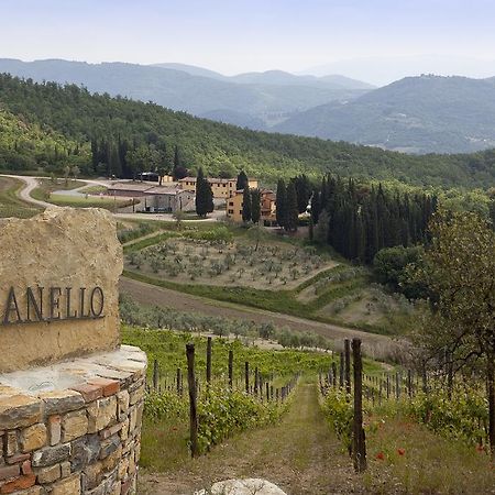 Agriturismo Panzanello بانسانو المظهر الخارجي الصورة